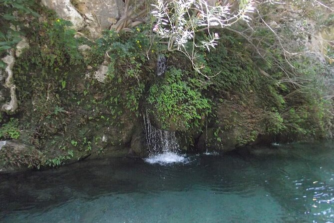 5-Hour Shared River Trekking in Kourtaliotiko Gorge - Who this tour suits best (and who should skip it)