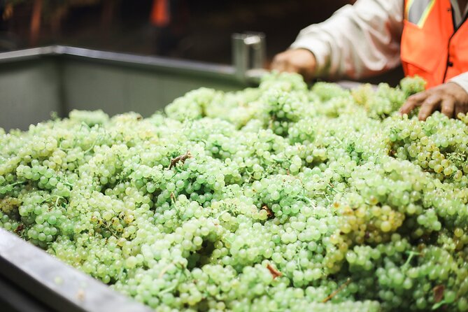 Afternoon Tour: Soap, Olive Oil & Wine Stories of Peza Village - Who Should Book This Tour (and Who Might Not)