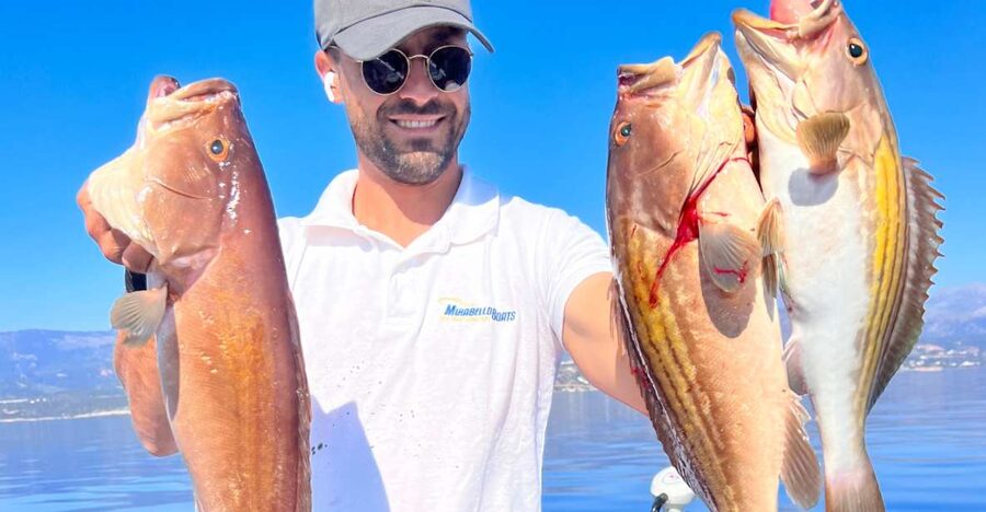Agios Nikolaos: Mirabello Bay Fishing Trip - Stop in Agios Nikolaos: viewpoints, a break, and water time
