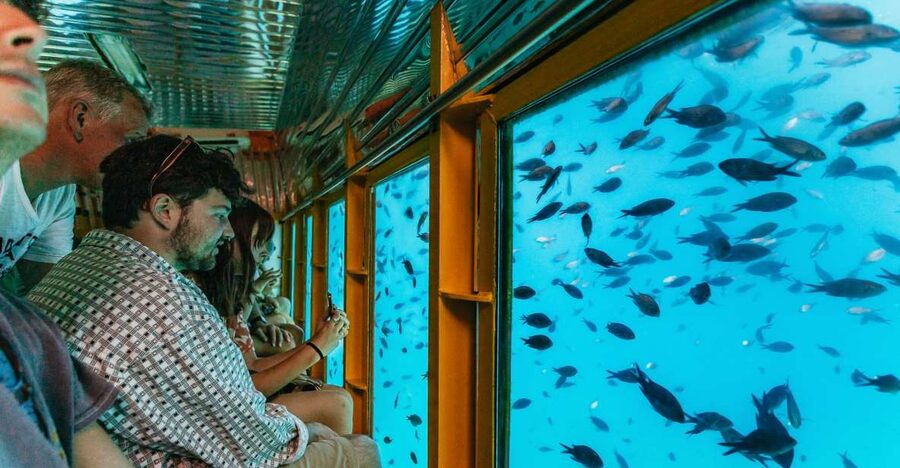 Agios Nikolaos: Semi-Submarine Cruise - Underwater Time: Audio Guide, Window Views, and Fish Feeding