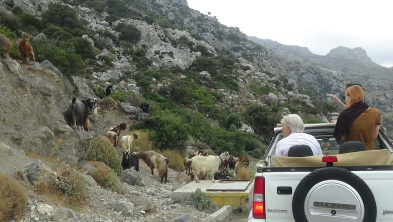 Agios Nikolaos: Thripti Mountain Villages Jeep Tour w/Lunch - Key highlights at a glance