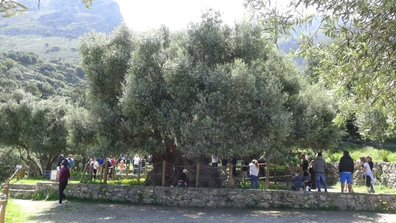 Agios Nikolaos: Thripti Mountain Villages Jeep Tour w/Lunch - Guide energy: Mieke and Michalis make the day