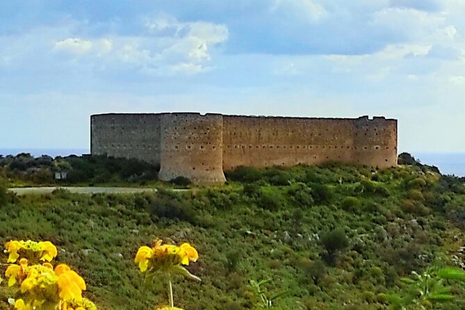 All Inclusive Full-day Private Tour of Crete Villages from Chania - Stop 2: Kalyves Olive Oil Mill Tour and Tastings
