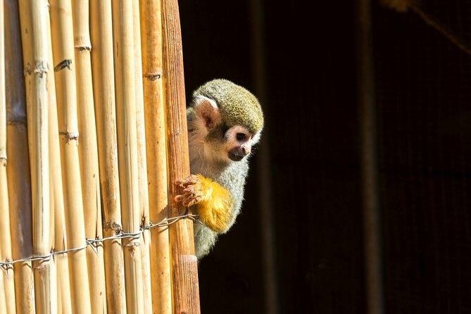 Amazonas Park and Glass Bottom Boat Tour - Small details that make the difference