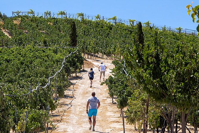 “ARISMARI” – Vineyard Tour & Wine Tasting - Key points to know before you go