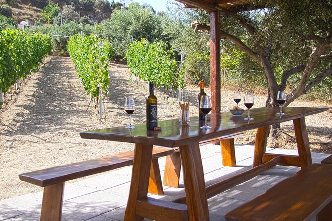 “ARISMARI” – Vineyard Tour & Wine Tasting - The Winery Starter at Douloufakis: Rusks, Cheese, and a Quick Orientation