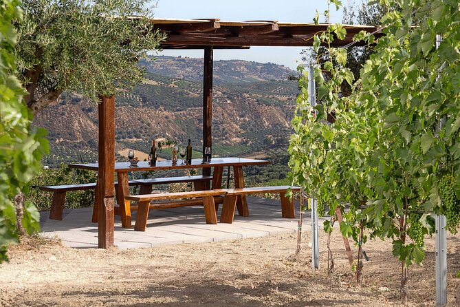 “ARISMARI” – Vineyard Tour & Wine Tasting - Who This Tour Is Best For (and Who Might Want a Different Plan)