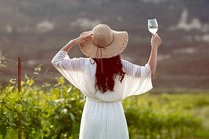 “ARISMARI” – Vineyard Tour & Wine Tasting - Getting There: Dafnes Meeting Point and Finder-Friendly Tips