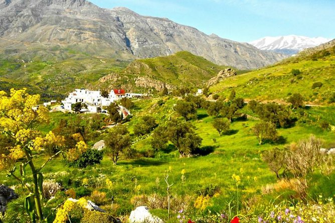 Authentic Crete Heart of the island - Arkadi monastery and Eleftherna: where the story layers build