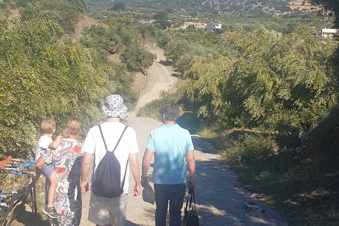 Authentic Olive Oil and Cultural Experience in Crete - The Cooperative of Kritsa: How Local Olive Oil Production Works