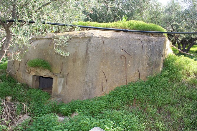 Battle of Crete Full Day Private Tour in Chania - Price and value: what $189.73 buys in a private historian format