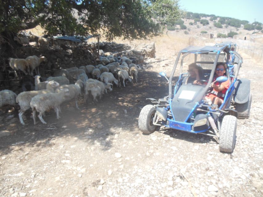 Buggy safari Crete (Transfer and lunch) analipsi- hersonisos - Mountain riding, gorges, and the monastery/ethnic stop