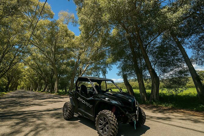 Buggy Safari From Georgioupolis Area - Key things that make this buggy safari worthwhile