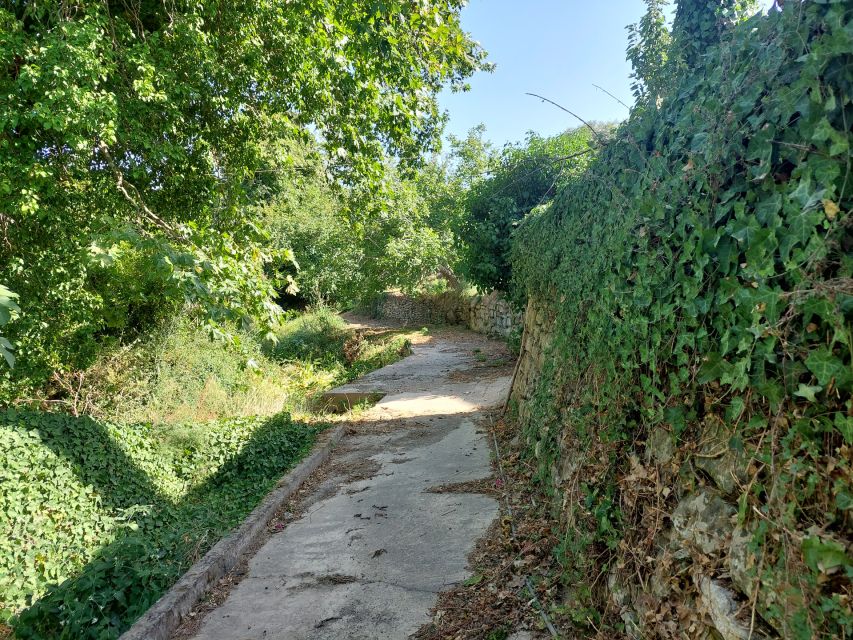 Chania: 5-Wine Tasting with Locals in Village near Kissamos - Key highlights you’ll feel during the tasting