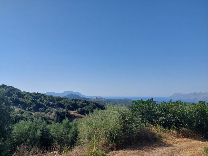 Chania: 5-Wine Tasting with Locals in Village near Kissamos - Cheese, pies, honey, and olive oil: the pairing that makes it real