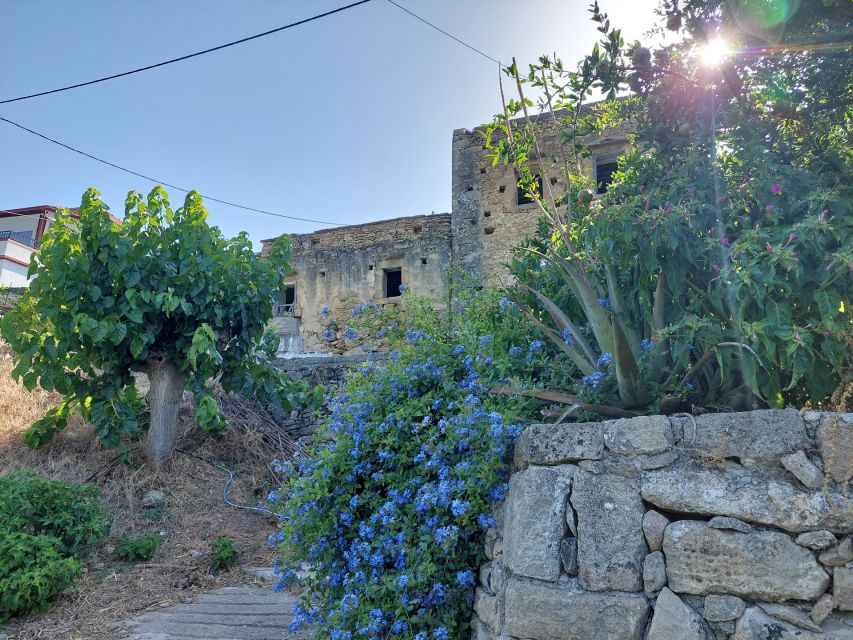 Chania: 5-Wine Tasting with Locals in Village near Kissamos - Meet the hosts and PoTolo: the human touch behind the glass