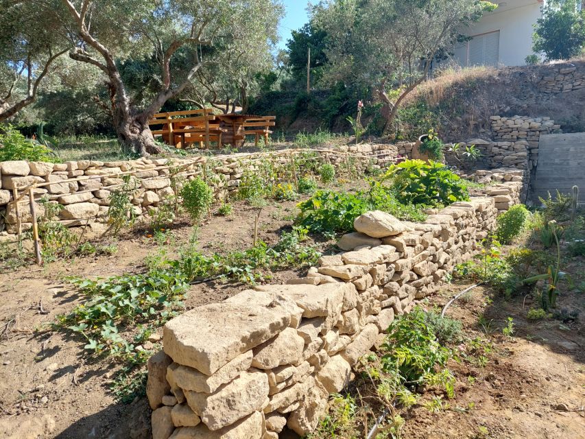 Chania: 5-Wine Tasting with Locals in Village near Kissamos - Who should book this Chania wine tasting near Kissamos?
