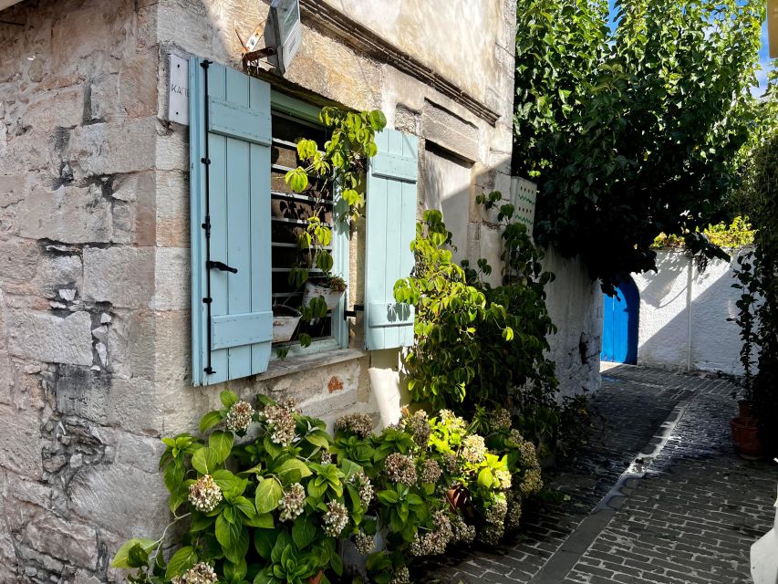 Chania: 7 Villages of Apokoronas Tour with Lunch - Gentle Nature Walk + Herb and Plant Talk
