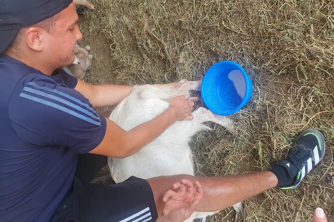 Chania Area: Cooking Class at a Farm in Stylos Village (organic) - A Crete Farm Day in Stilos Village (Stylos, Organic, Hands-On)