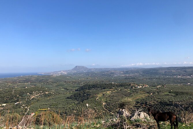 Chania Area: Cooking Class at a Farm in Stylos Village (organic) - Diktamos Gorge: A Scenic Interlude That Breaks Up the Day