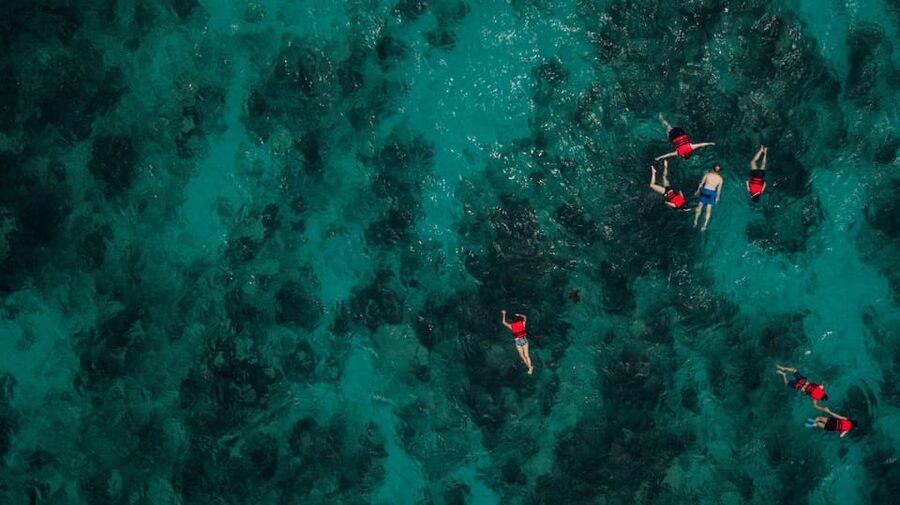 Chania: Boat Trip with Guided Snorkeling Tour - Stop 2: another 45 minutes with a fresh underwater scene