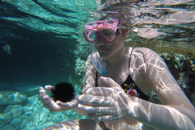 Chania: Boat Trip with Guided Snorkeling Tour & SUP - SUP option: great when it happens, not guaranteed