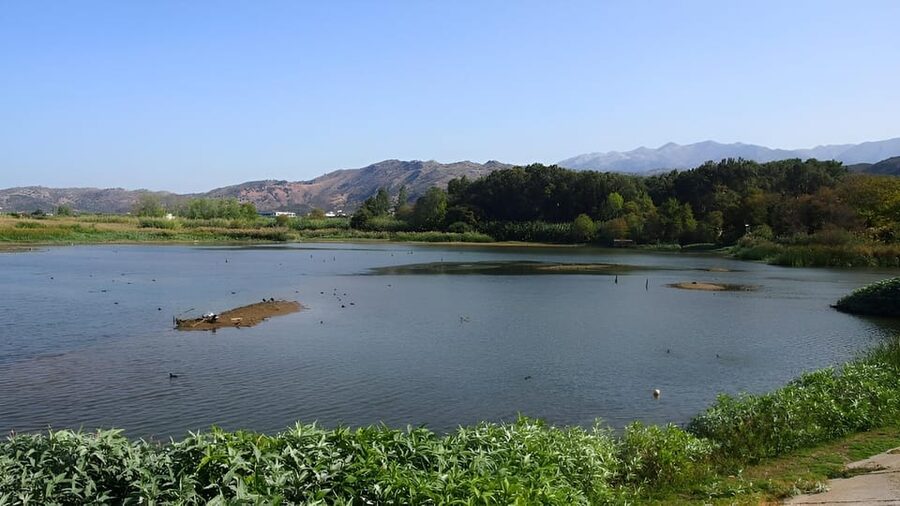 Chania Ebike Eco-Long Tour + Traditional Snack - Drakiana Park by the river: the traditional Cretan snack stop that actually feels local