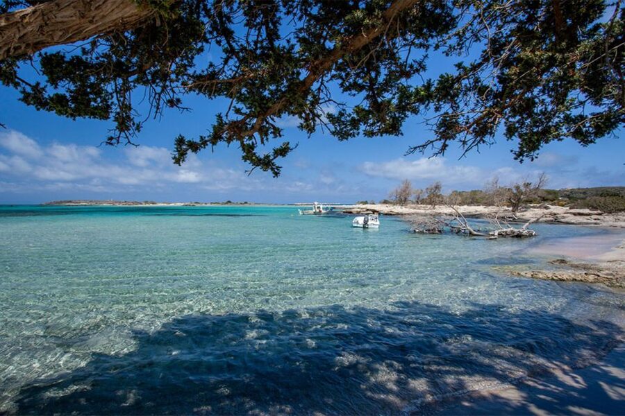 Chania: Elafonisi and Milia Mountain with Loungers and Lunch - How to get the best day out of it