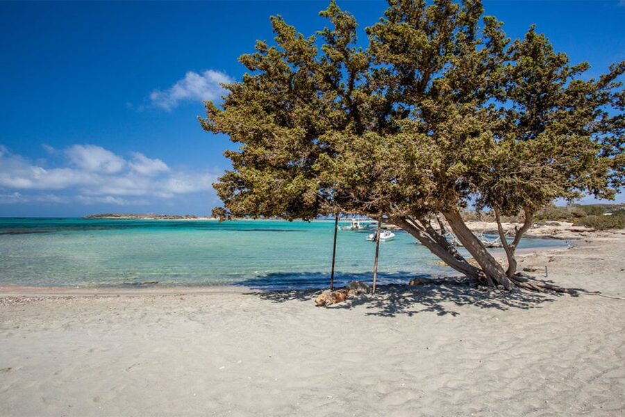 Chania: Elafonisi and Milia Mountain with Loungers and Lunch - Price and value: is $194 a fair deal for this day?