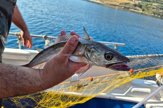 Chania Fishing with Nets Catch and Cook with a Local Fisherman - Key points to know before you go