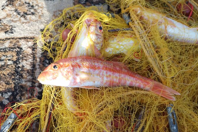 Chania Fishing with Nets Catch and Cook with a Local Fisherman - Catch-and-cook lunch on board: what you get and why it’s special