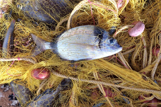 Chania Fishing with Nets Catch and Cook with a Local Fisherman - Swimming in a cove: cooling off with time to relax