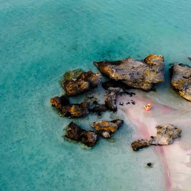 Chania: Full-Day to Elafonissi Beach Direct with No Stops - Key Highlights at a Glance