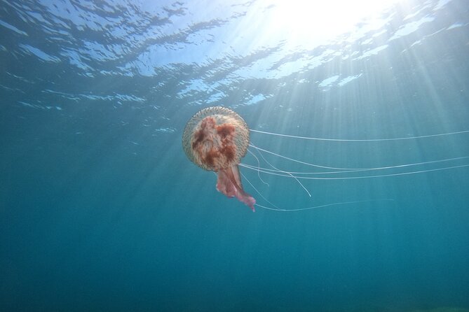 Chania Guided Snorkeling and Boat Excursion - The boat ride: views, downtime, and a calm pace