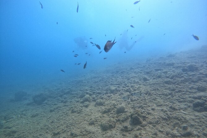 Chania Guided Snorkeling and Boat Excursion - Midday break onboard: fruit, water, and a breather