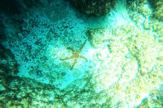 Chania Guided Snorkeling and Boat Excursion - Second spot: remote vibes, caves, and possible sea life