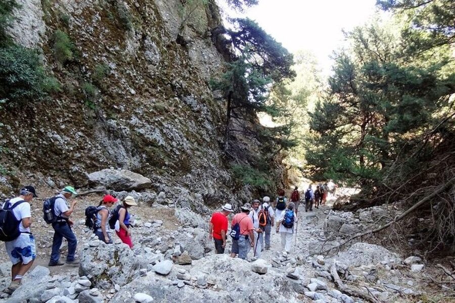 Chania: Imbros Gorge and Libyan Sea Day Tour - How the Ride Time From Chania Really Feels (8 Hours on the Clock)