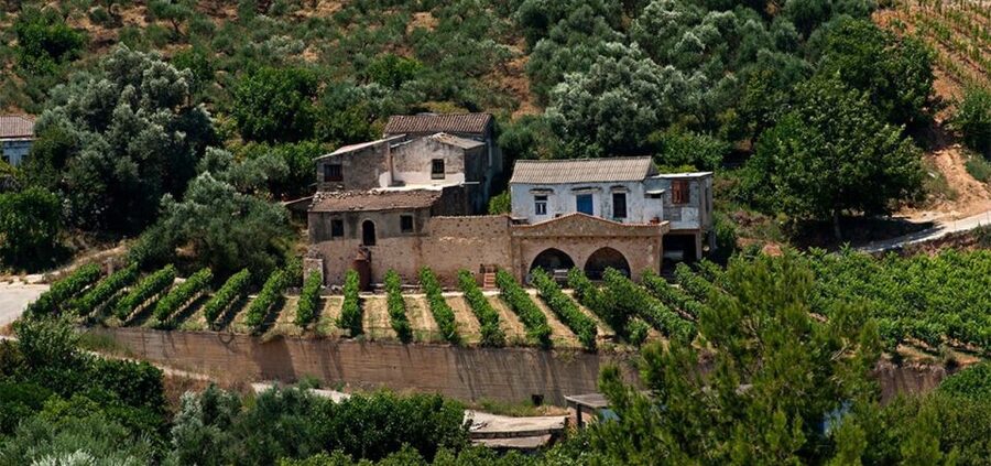 Chania: Milia Mountain Tour w/Lunch Olive Oil/Wine Tastings - Should You Book the Chania Milia Mountain Tour?