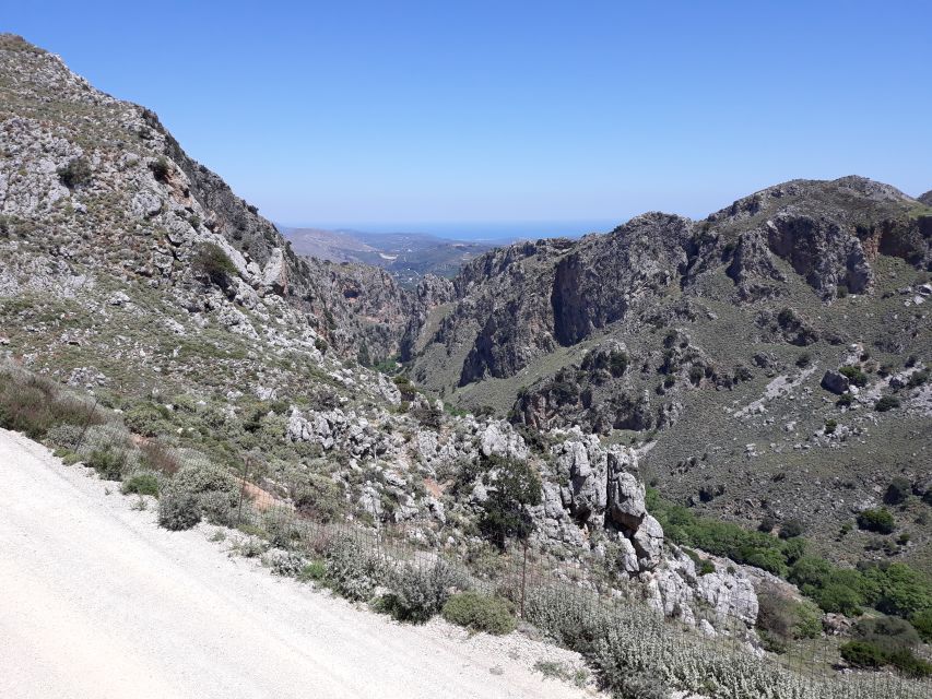 Chania: Milia Mountain Tour w/Lunch Olive Oil/Wine Tastings - Who This Tour Fits Best (and Who Should Skip It)