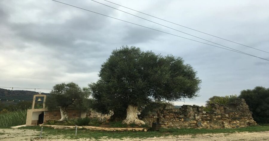 Chania Monasteries Private Tour: A Greek Orthodoxy Tribute - Your first lesson: Byzantine-era ruins and the meaning of liturgy