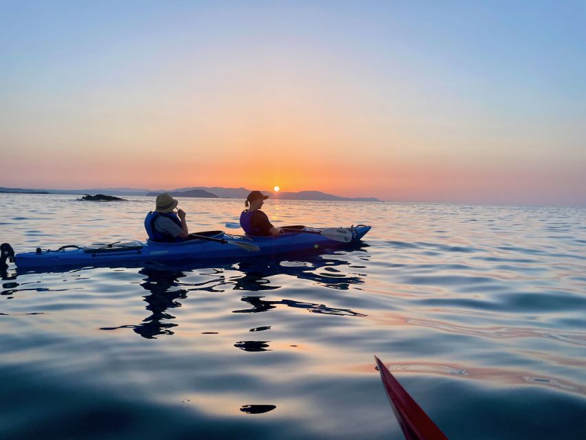 Chania: Morning Sea Kayak Tour Along the Coastline - Who Should Book (and Who Should Skip) This Sea Kayak Morning