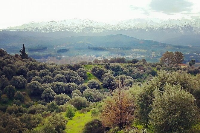 Chania Nature & Villages, White Mountains & Unique Cretan Lunch - Stop 1: Lake Agias and Orange Valley Coffee or Fresh Juice