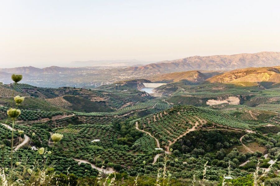 Chania: Off-Road Tour at Sunset - Off-Road Routes to Vineyards and a Real Tavern Meal