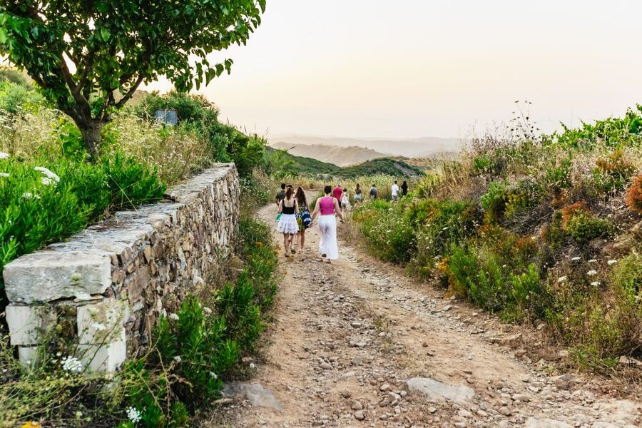 Chania: Off-Road Tour at Sunset - Price and Value: What $93 Really Buys You
