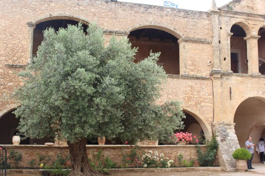 Chania Private Olive Oil Tour: Oil Tasting & Villages Tour - Why This Olive Oil Tour Works Better Than a Quick Tasting