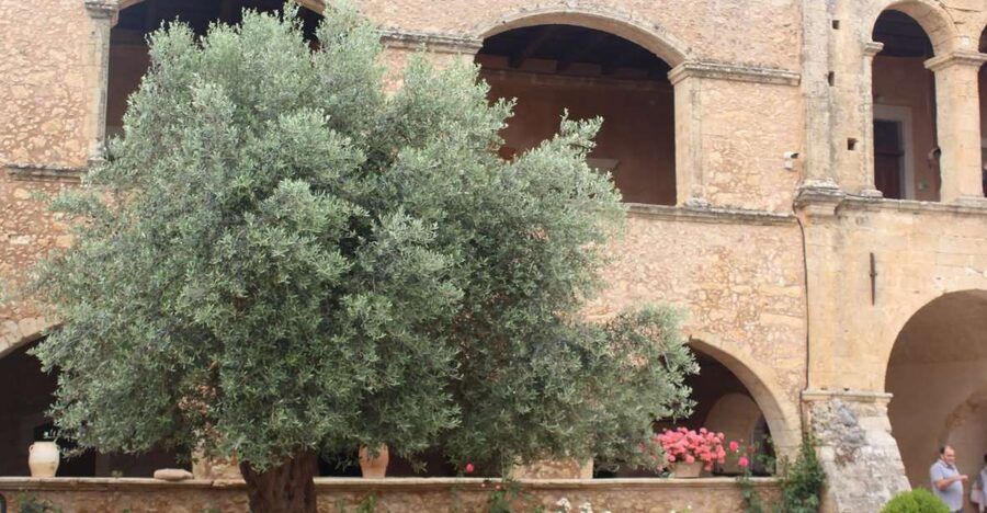 Chania Private Olive Oil Tour: Oil Tasting & Villages Tour - A Bio Olive Oil Factory Visit: Seeing Oil Made, Not Just Bottled