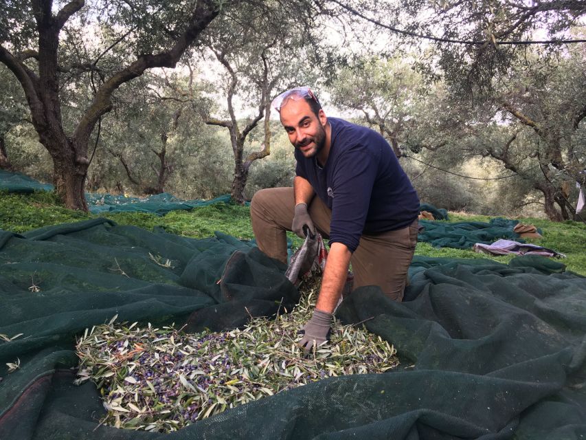 Chania Private Olive Oil Tour: Oil Tasting & Villages Tour - Private Olive Grove Time: Varieties, Harvesting, and the Farming Decisions