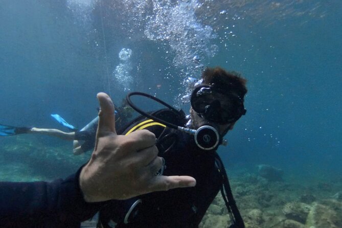Chania Scuba Diving 2 Shore Dives(Receive Certification) - Second underwater session: the same structure, more confidence