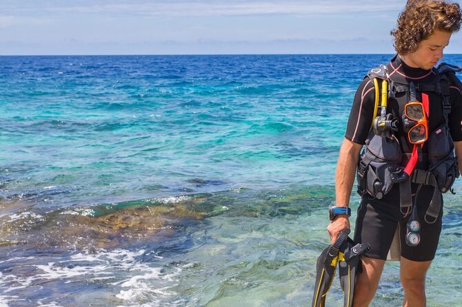 Chania Scuba Diving 2 Shore Dives(Receive Certification) - Price and value: what $204.70 includes (and why it’s not just a rental)