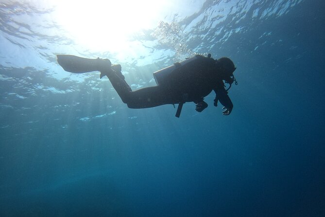 Chania Scuba Diving 2 Shore Dives(Receive Certification) - Who this course fits best in Chania